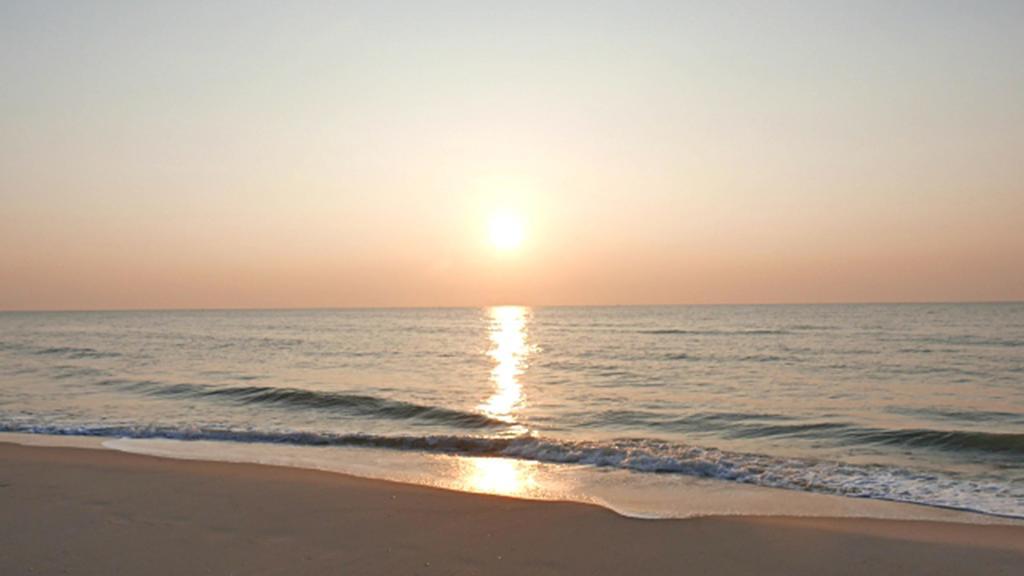 Hung Do Beach Homestay Χόι Αν Εξωτερικό φωτογραφία